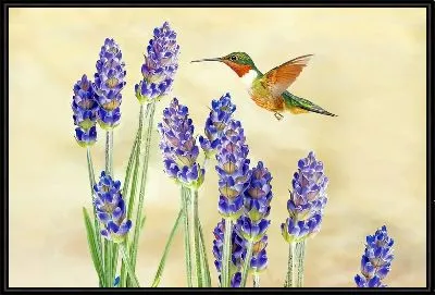 Картина Лаванда №113