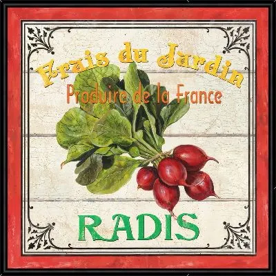 Картина Редис в стиле винтаж
