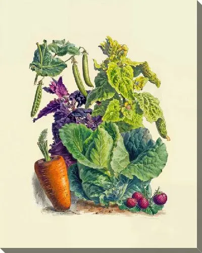 Картина маслом Овощи и листья салата