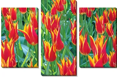 Модульная картина Тюльпаны №310