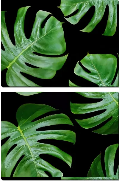 Модульная картина Листья тропиков №13