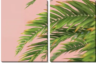 Модульная картина Листья тропиков №32
