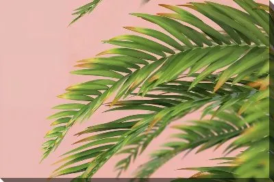 Картина маслом Листья тропиков №32