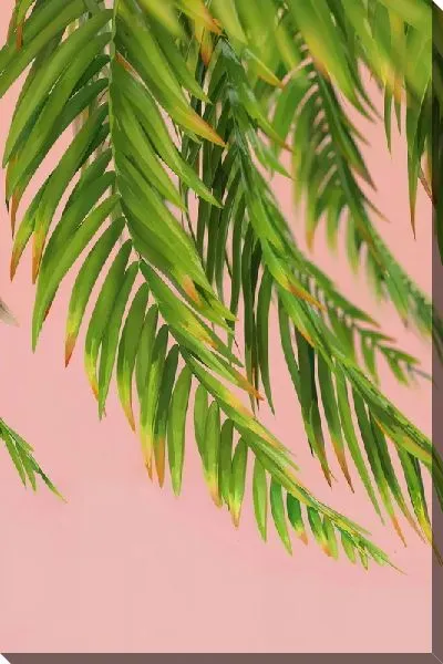 Картина маслом Листья тропиков №48