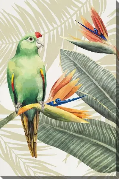 Постер Листья тропические №101