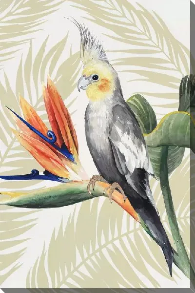 Постер Листья тропические №102