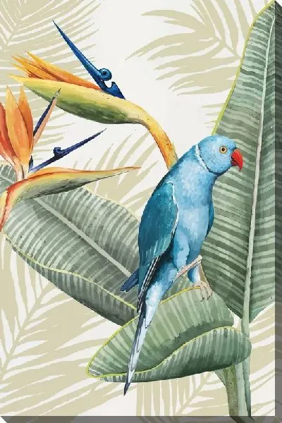 Постер Листья тропические №109