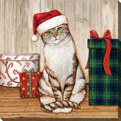 Кошачья жизнь №2