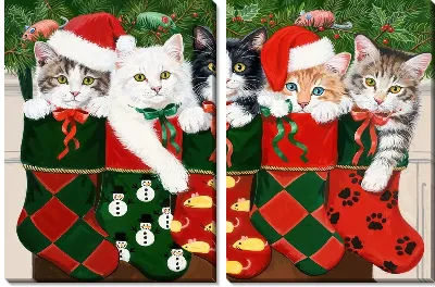 Кошачья жизнь №4