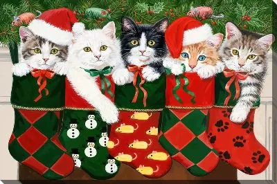 Кошачья жизнь №4