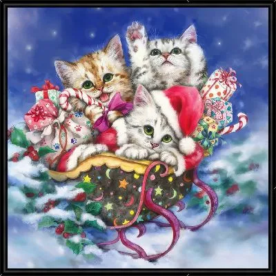 Кошачья жизнь №23