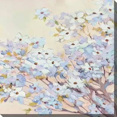 Постер Кизил цветки №9