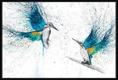 Всплеск колибри