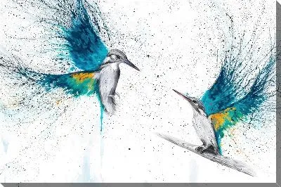 Всплеск колибри