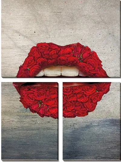 Модульная картина Арт губы №33