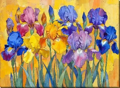 Картина маслом Ирисы №218
