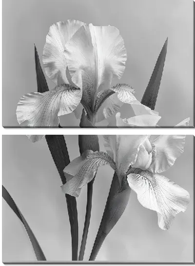 Модульная картина Ирисы №234