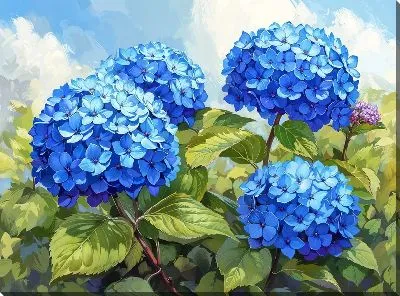 Картина маслом Гортензии №203