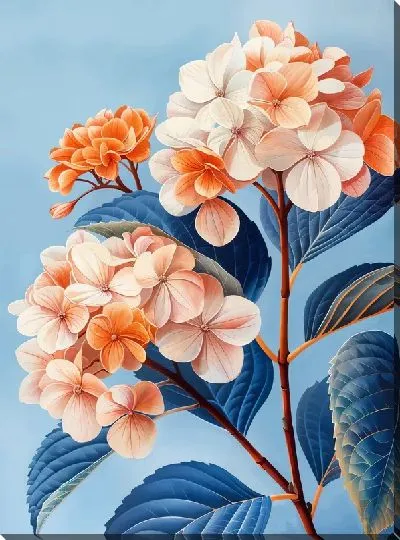 Картина маслом Гортензии №227