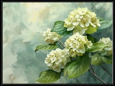 Гортензии №230