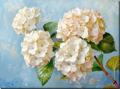 Картина маслом Гортензии №236