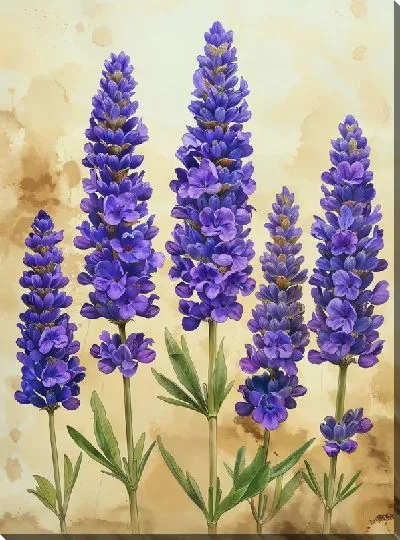 Картина маслом Лаванда №301