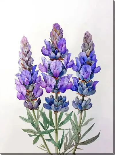 Картина маслом Лаванда №312