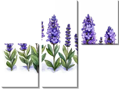 Модульная картина Лаванда №323