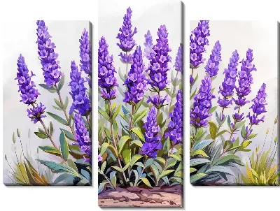 Модульная картина Лаванда №331