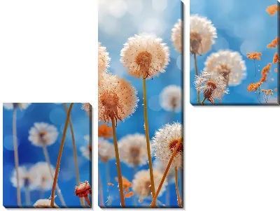 Модульная картина Одуванчики №339