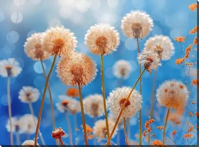 Картина маслом Одуванчики №339