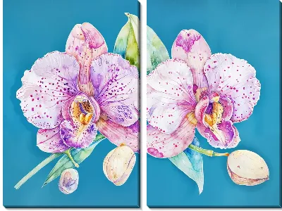 Модульная картина Орхидеи №113