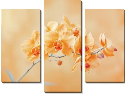 Модульная картина Орхидеи №117