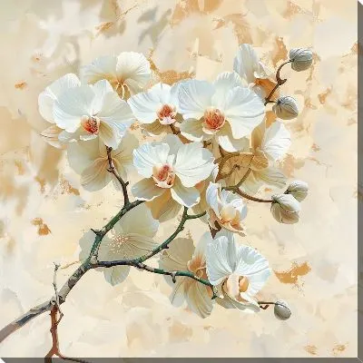 Постер Орхидеи №122