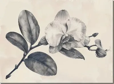 Картина маслом Орхидеи №135