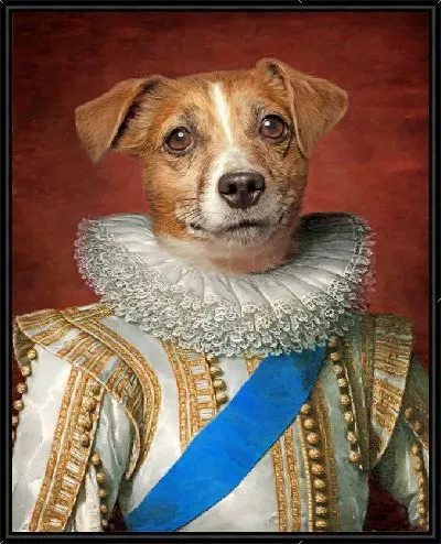 Картина Граф Джек Рассел