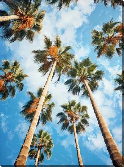 Картина маслом Тропические пальмы №1