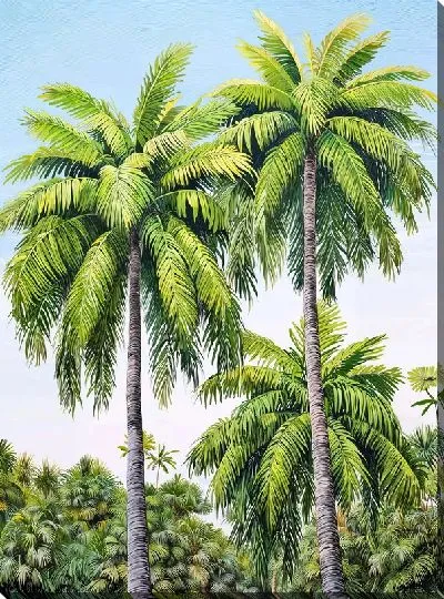 Картина маслом Тропические пальмы №23