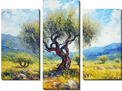 Оливковое дерево №15