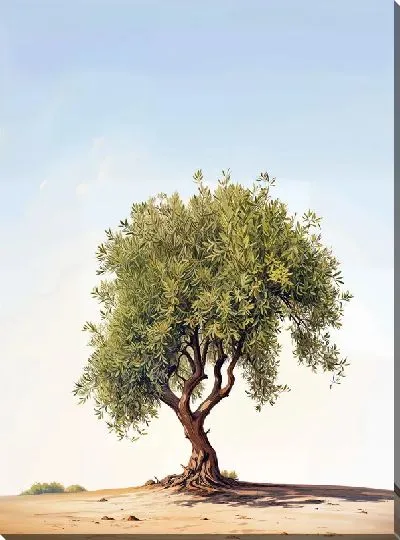Постер Оливковое дерево №19
