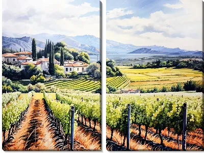 Модульная картина Виноградник №10