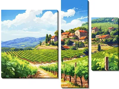 Модульная картина Виноградник №14