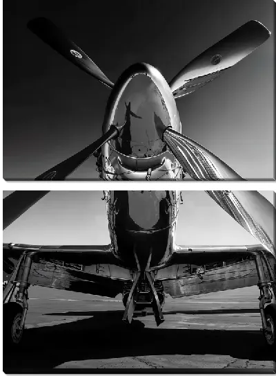 Модульная картина Винтовой самолет