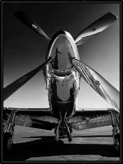 Картина Винтовой самолет