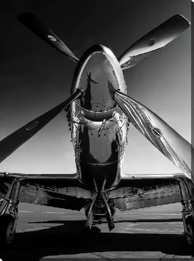 Постер Винтовой самолет