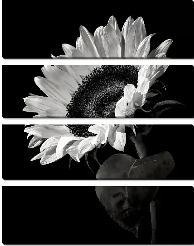 Модульная картина Моно подсолнух