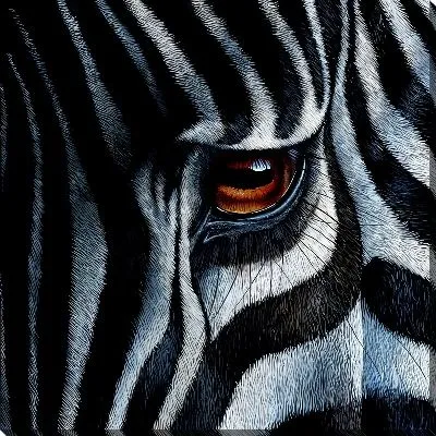 Картина маслом Зебра №443