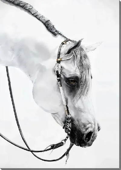 Картина маслом Белоснежная лошадь №8