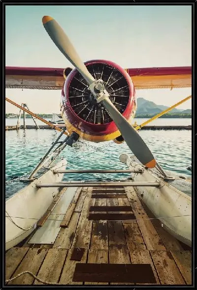 Картина Легкий одномоторный самолет