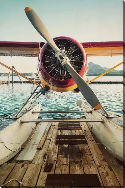 Постер Легкий одномоторный самолет